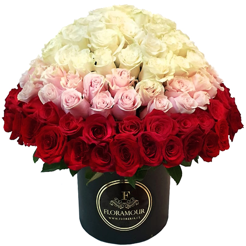 Exclusivo diseño. Ordenamiento de 150 Rosas importadas. Consulte por otras alternativas y presentaciones personalizadas. +56998705440 Sólo Santiago de Chile - Seleccione Color de rosas